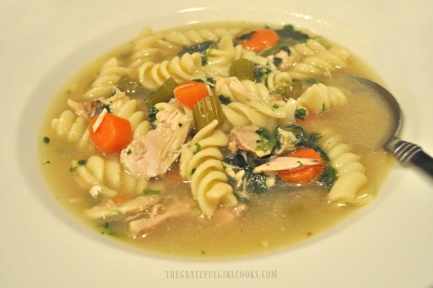 A bowl of hot chicken noodle soup is ready to eat!