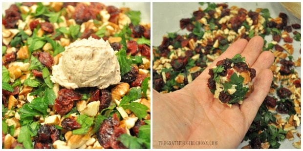 Cranberry pecan goat cheese bites are rolled in parsley, cranberries and pecans, to cover.