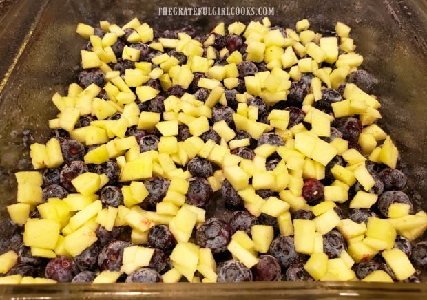 Blueberries and chopped apples are spread across the bottom of baking dish for blueberry baked oatmeal.