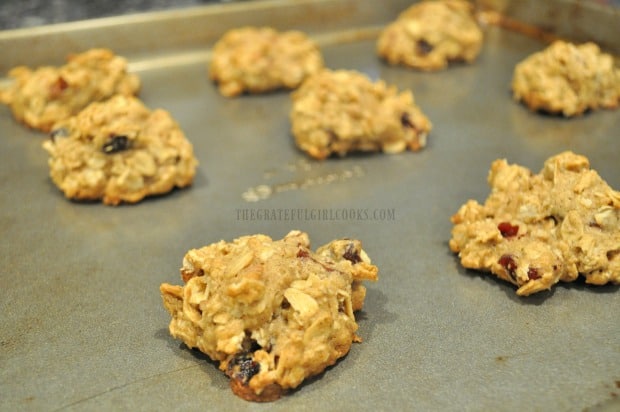 The oatmeal cranberry pecan cookies are baked until done and golden brown.