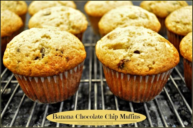 EASY, delicious banana chocolate chip muffins can be ready and on the table in 30 minutes! You'll LOVE these simple, yummy breakfast treats!
