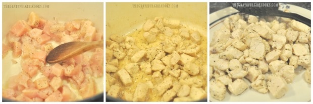 Cooking the chicken breast pieces for Southwestern chicken soup.