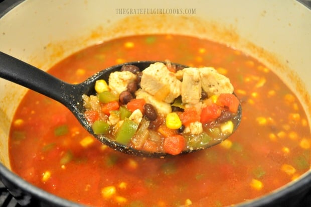 A ladle, full of yummy Southwestern chicken soup.