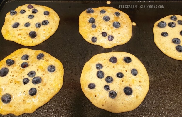 Fresh blueberries are added to the pancakes cooking on the electric grill.