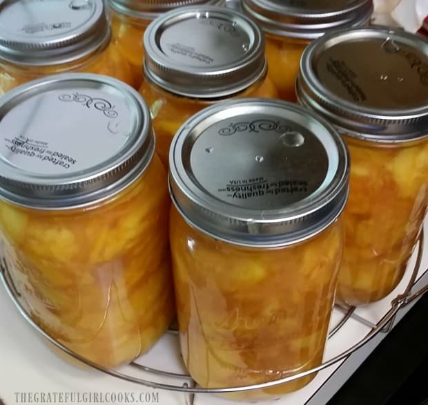 Jars of pie filling are loaded onto rack and then are placed in a water bath canner.