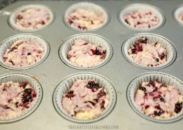 Muffin batter is placed into muffin liners, and is ready to bake!