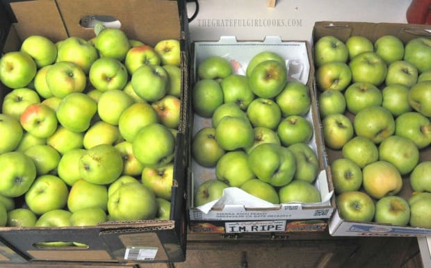 Picked some Gravenstein apples to use in many recipes.