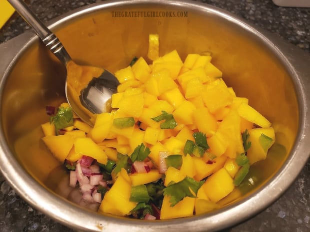 Salsa ingredients are stirred together before adding the avocado.