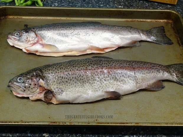 Two trout are ready to be stuffed and then grilled.