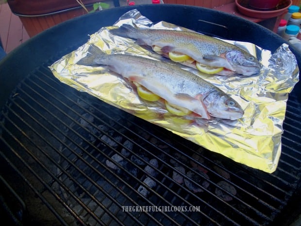 The garlic butter grilled trout, cooked on foil, directly over hot coals on the bbq.