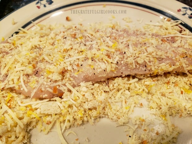 Rockfish fillets are coated in the bread crumb topping before baking.