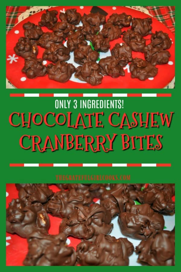 FIVE MINUTES and THREE INGREDIENTS are all you need to make 2 dozen yummy chocolate cashew cranberry bites, perfect for munching or gift giving!