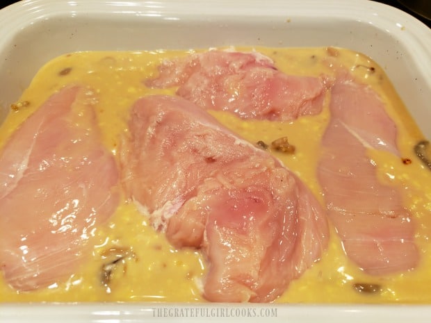 Four pieces of chicken breast are placed on top of the sauce.
