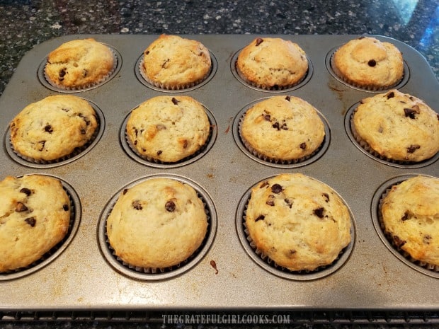 The finished chocolate chip banana nut muffins are golden brown when fully baked.