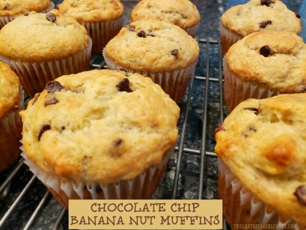 Make 12 delicious chocolate chip banana nut muffins in almost no time at all! These EASY to make muffins are perfect for breakfast or a mid-day snack!