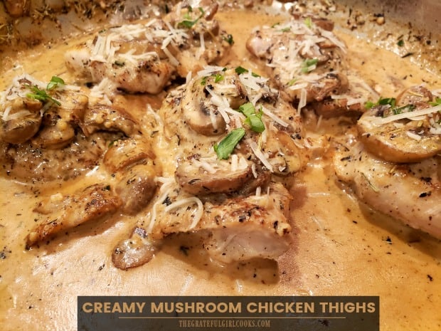 Delicious Creamy Mushroom Chicken Thighs are pan-seared, then covered in a cream sauce with garlic, mushrooms, herbs, and Parmesan cheese to serve!