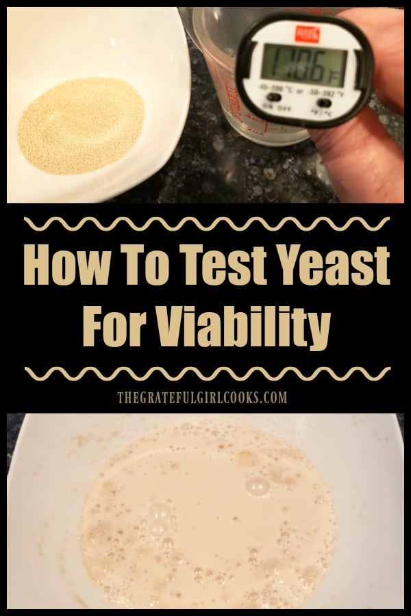 Trying to figure out if your dry yeast is still good for baking? It's really simple to learn how to test yeast for viability in about 10 minutes.