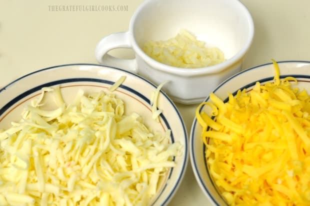 Chopped onion, grated cheddar and jack cheese are ready to fill tortillas.