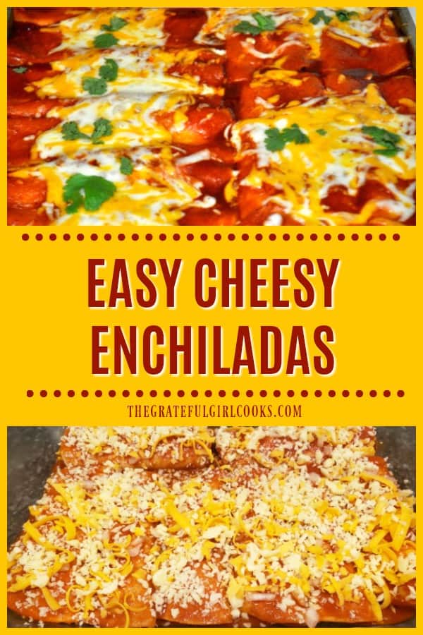 Make a yummy batch of Easy Cheesy Enchiladas in a flash, with cheddar and jack cheese, canned enchilada sauce, onions, and corn tortillas.