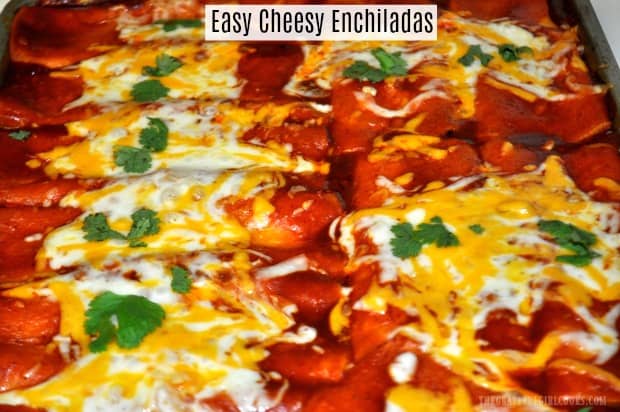 Make a yummy batch of Easy Cheesy Enchiladas in a flash, with cheddar and jack cheese, canned enchilada sauce, onions, and corn tortillas.