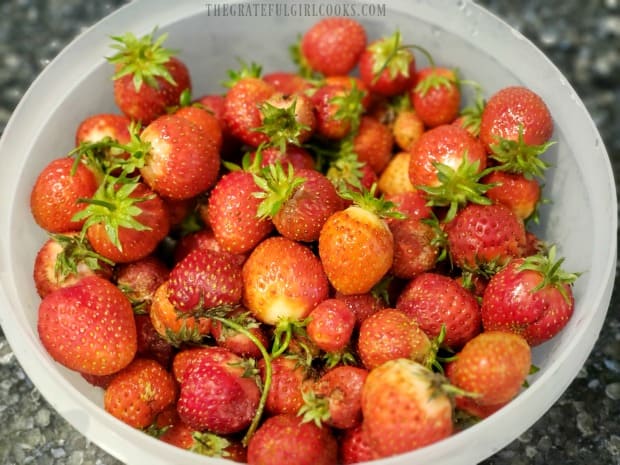 Fresh strawberries from our garden will be added to muffin batter.