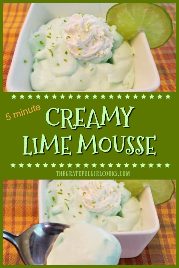 Looking for a light, delicious, flavor-filled EASY dessert? Try this cold, creamy lime mousse, which is made in 5 minutes using only 4 ingredients!
