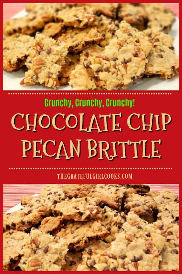 Delicious Chocolate Chip Pecan Brittle is a very "brittle" slab of chocolate chip coconut pecan cookie broken in chunky pieces. EASY & YUMMY!