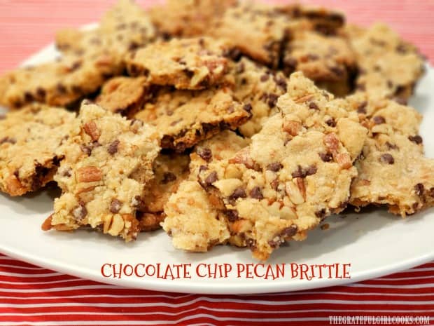 Delicious Chocolate Chip Pecan Brittle is a very "brittle" slab of chocolate chip coconut pecan cookie broken in chunky pieces. EASY & YUMMY!