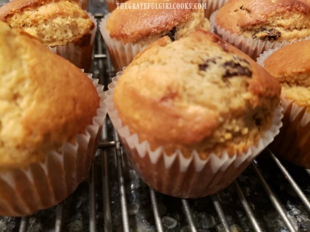After baking, the rum raisin muffins are nicely browned on top.