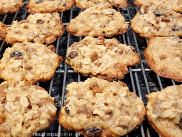 Chewy, flavorful oatmeal cinnamon chip cookies taste wonderful!