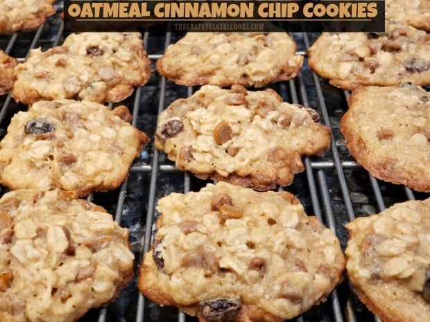 Make a batch of 4 dozen delicious Oatmeal Cinnamon Chip Cookies (with raisins), for family or friends to enjoy! Easy, chewy, and so yummy!