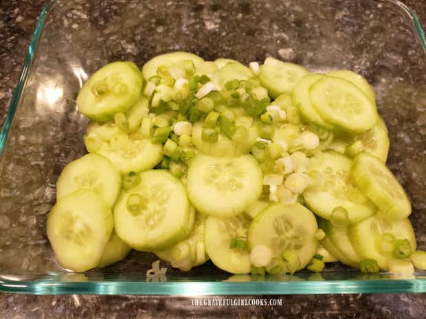 Chopped green onions and sliced cucumbers in dish before marinating.