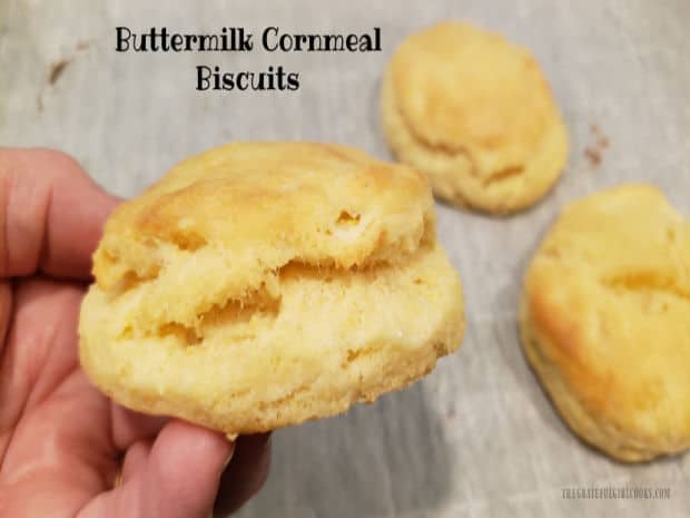 Make a small batch of buttermilk cornmeal biscuits to serve with a favorite soup or meat dish. Recipe makes 5 delicious, fluffy biscuits.