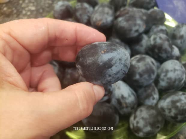 Holding one of the Italian plums before slicing.