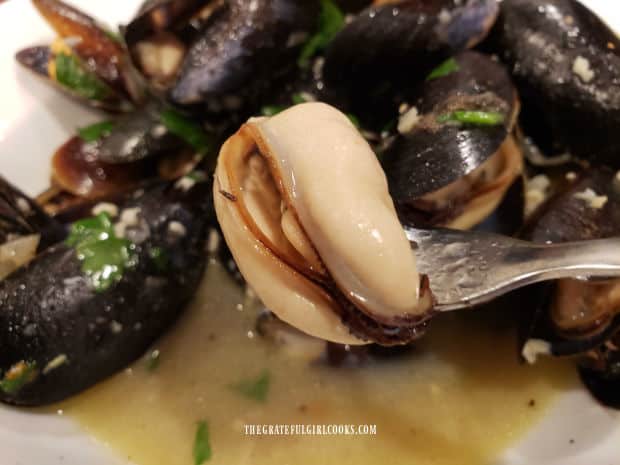 A close up of one of the mussels, on a fork, ready to be eaten.