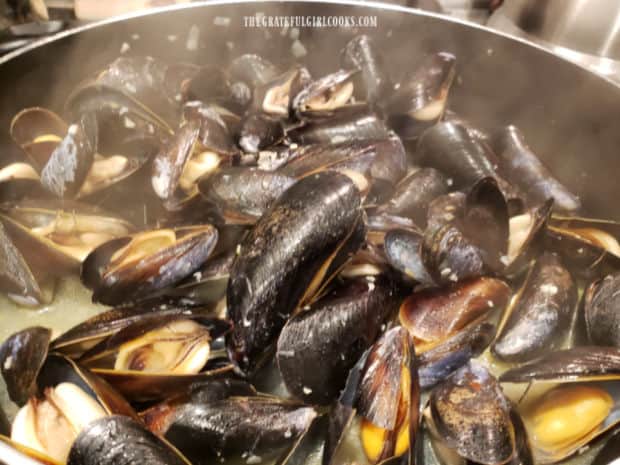 The mussels are steamed in a covered skillet until they have opened.