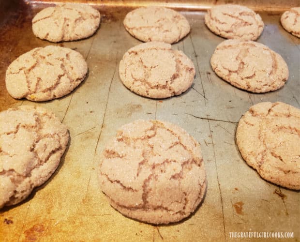 Cinnamon crinkle cookies on baking sheet, right out of the oven.