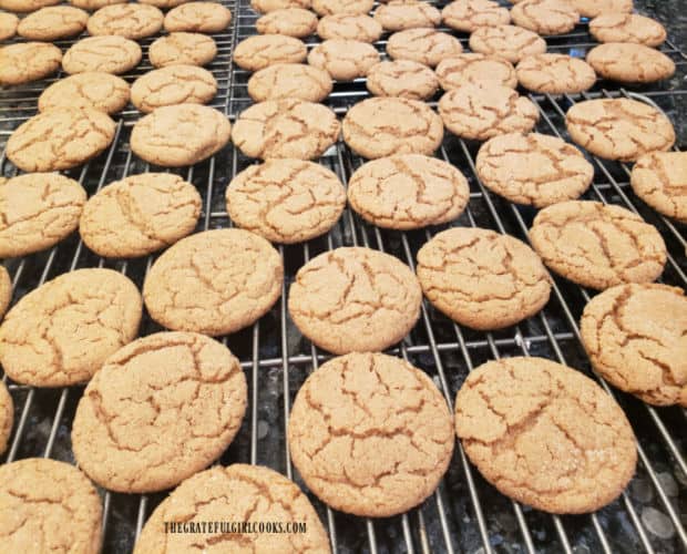 All of the cinnamon crinkle cookies, cooling on wire racks after baking.