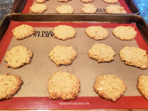 Peanut Butter Crunch Cookies rest on baking sheet after removing them from oven.