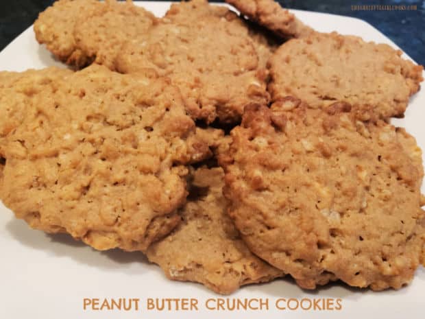 Yummy Peanut Butter Crunch Cookies are easy to make. Recipe makes 4 dozen cookies filled with peanuts and puffed rice for a crispy texture!