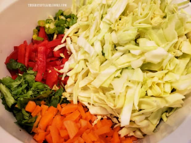 Shredded cabbage, sliced carrots, green onions, red pepper, and cilantro in salad bowl.