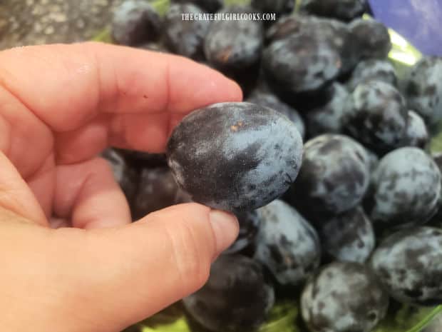 Italian prune plums are oblong in shape, and black and grey in color.