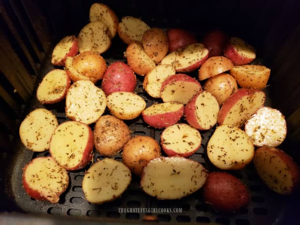 Seasoned mini potatoes are placed in a single layer in air fryer basket to cook.
