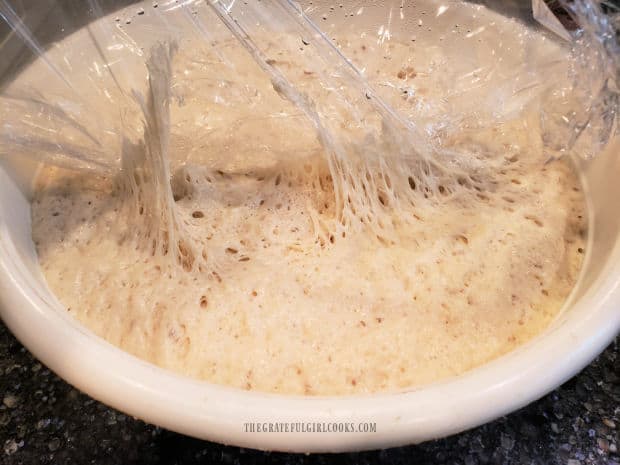 Dough has risen to double its original size after being refrigerated overnight.