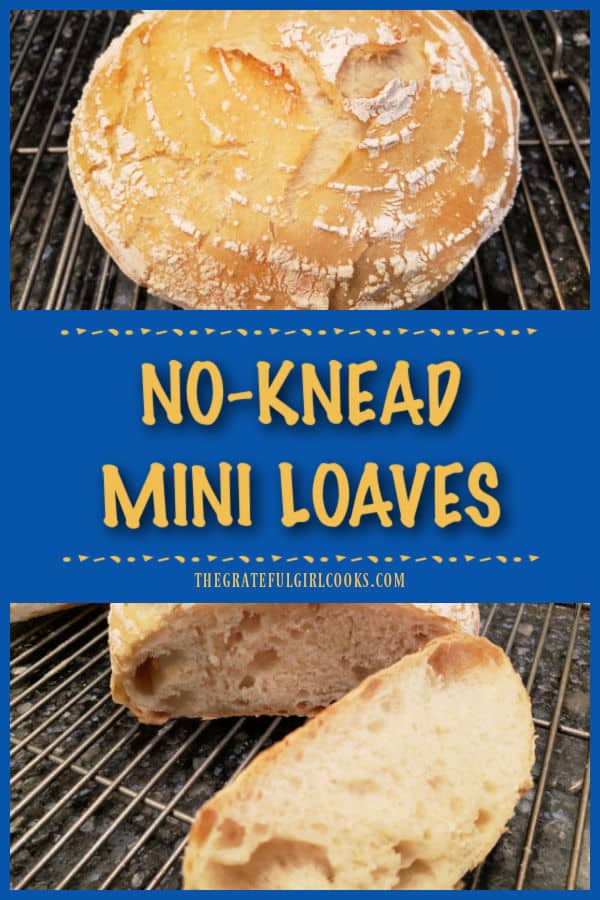 No-Knead Mini Loaves are crusty on the outside, soft on the inside and use only 4 ingredients! Makes enough for 5 small artisan bread loaves!