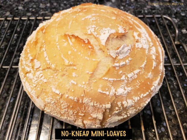 No-Knead Mini Loaves are crusty on the outside, soft on the inside and use only 4 ingredients! Makes enough for 5 small artisan bread loaves!