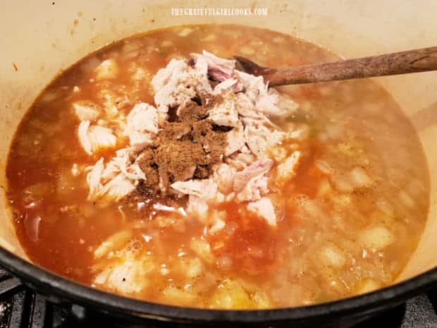 Chopped turkey, enchilada sauce and ground cumin are added to the turkey tortilla soup.