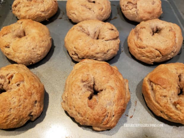 Golden browned on top, the baked bagels come out of the oven to cool.