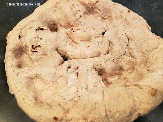Banana nut bagel dough is punched down after rising, to remove excess air.