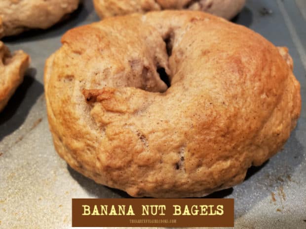 Make a batch of 9 homemade New York-style Banana Nut Bagels from scratch! They're chewy, delicious, and can be made with pecans or walnuts!